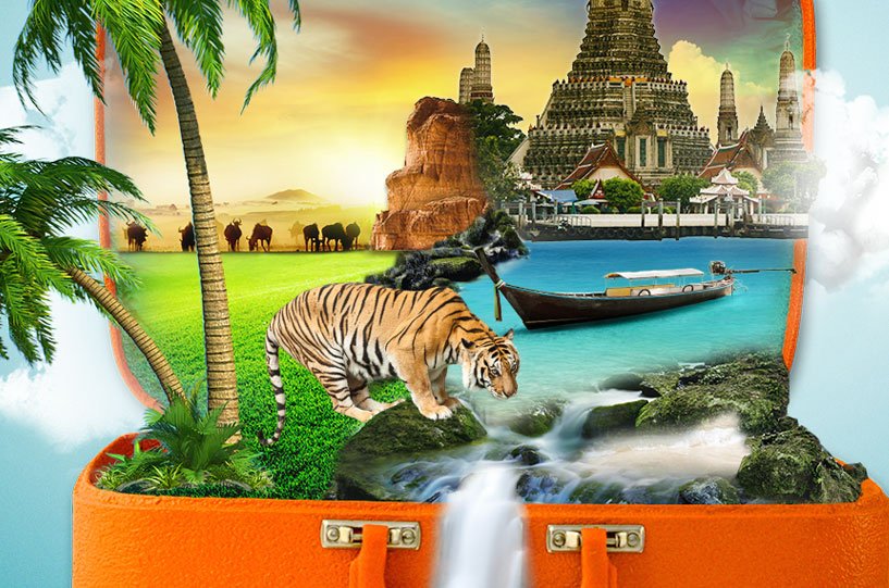collage images of palm trees, tiger, thailand